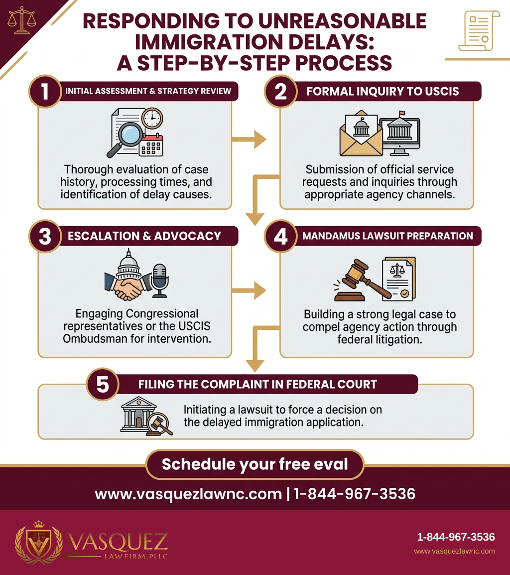Visual Guide 1 for What Does Unreasonable Delay Mean in Immigration Law in 2026?