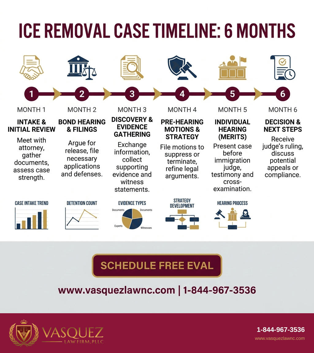 Visual Guide 2 for ICE Removal Explained What You Need to Know in 2026